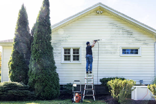 Best Deck Cleaning Services  in Northville, MI